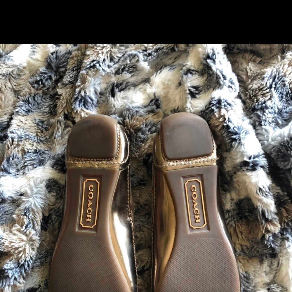 COPY - coach shoes